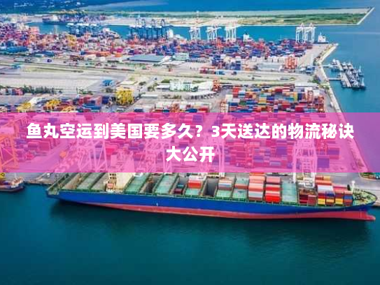 鱼丸空运到美国要多久?3天送达的物流秘诀大公开 鱼丸空运到美国要多久?3天送达的物流秘诀大公开