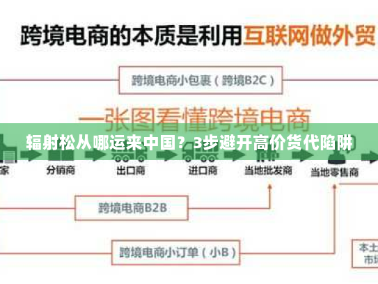 辐射松从哪运来中国？3步避开高价货代陷阱
