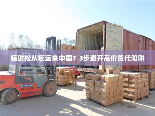 辐射松从哪运来中国？3步避开高价货代陷阱