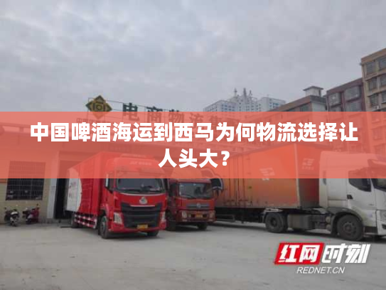 中国啤酒海运到西马为何物流选择让人头大？