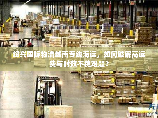 绍兴国际物流越南专线海运,如何破解高运费与时效不稳难题? 绍兴国际物流越南专线海运,如何破解高运费与时效不稳难题?