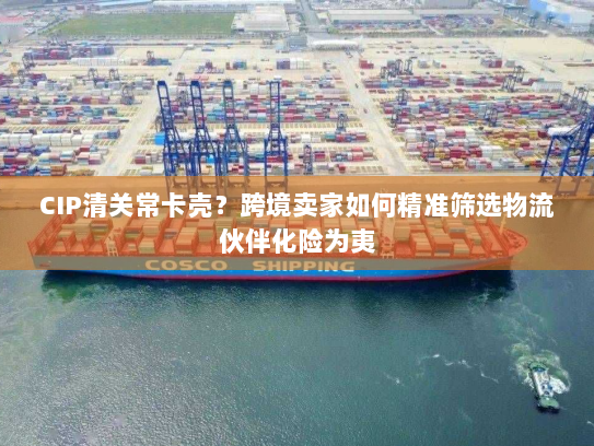 CIP清关常卡壳？跨境卖家如何精准筛选物流伙伴化险为夷