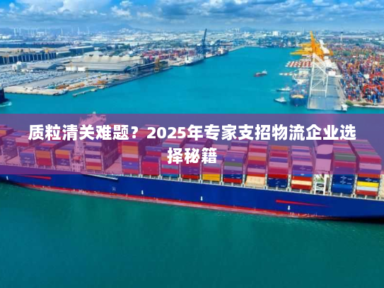 质粒清关难题？2025年专家支招物流企业选择秘籍