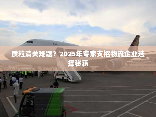 质粒清关难题？2025年专家支招物流企业选择秘籍