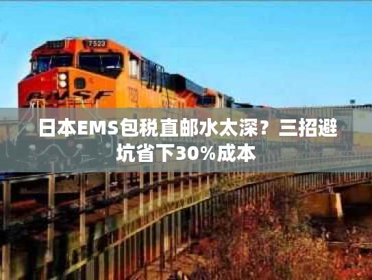 日本EMS包税直邮水太深?三招避坑省下30%成本 日本EMS包税直邮水太深?三招避坑省下30%成本