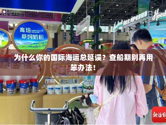 为什么你的国际海运总延误？查船期别再用笨办法！