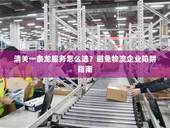 清关一条龙服务怎么选？避免物流企业陷阱指南