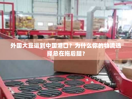 外国大豆运到中国港口?为什么你的物流选择总在拖后腿? 外国大豆运到中国港口?为什么你的物流选择总在拖后腿?