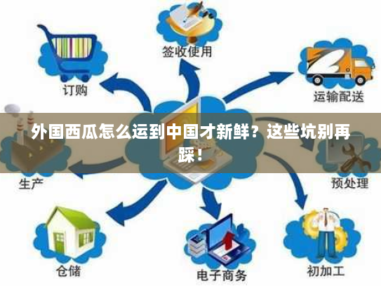 外国西瓜怎么运到中国才新鲜?这些坑别再踩! 外国西瓜怎么运到中国才新鲜?这些坑别再踩!