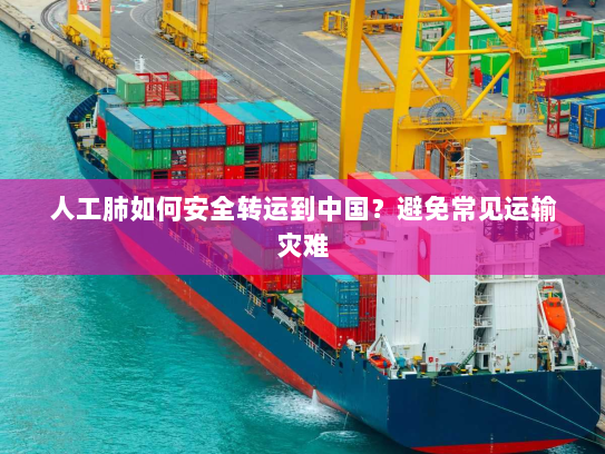 人工肺如何安全转运到中国？避免常见运输灾难