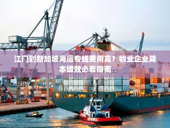 江门到新加坡海运专线费用高？物业企业降本增效必看指南