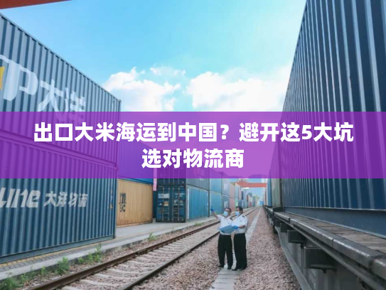 出口大米海运到中国？避开这5大坑选对物流商