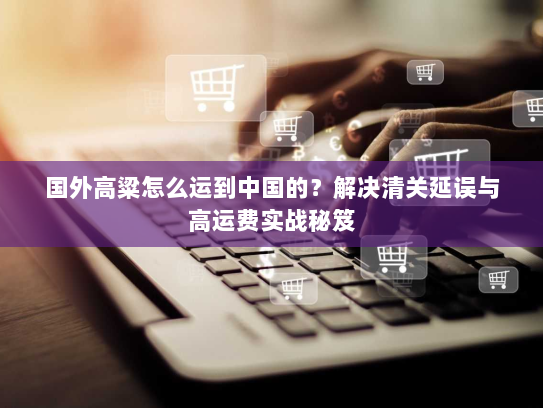 国外高粱怎么运到中国的？解决清关延误与高运费实战秘笈