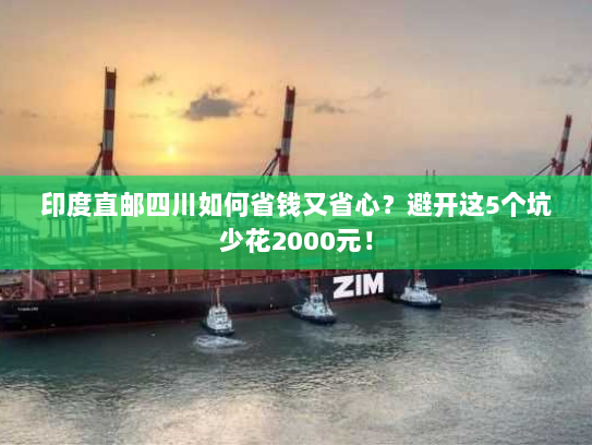 印度直邮四川如何省钱又省心?避开这5个坑少花2000元! 印度直邮四川如何省钱又省心?避开这5个坑少花2000元!