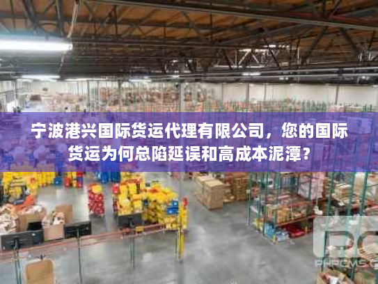 宁波港兴国际货运代理有限公司，您的国际货运为何总陷延误和高成本泥潭？
