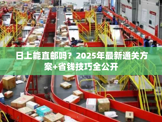 日上能直邮吗？2025年最新通关方案+省钱技巧全公开