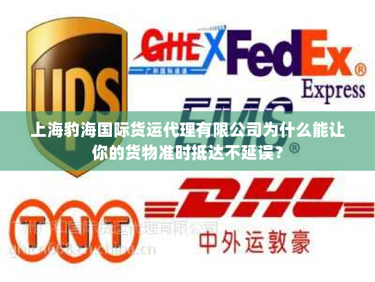 上海豹海国际货运代理有限公司为什么能让你的货物准时抵达不延误？