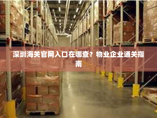 深圳海关官网入口在哪查?物业企业通关指南 深圳海关官网入口在哪查?物业企业通关指南