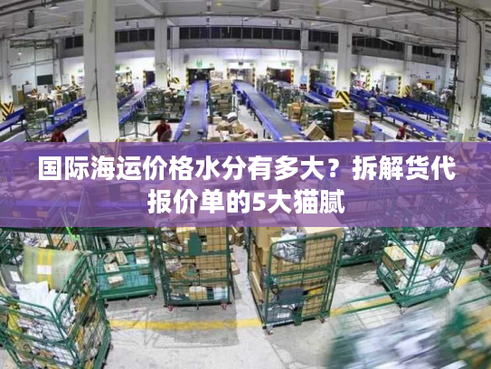 国际海运价格水分有多大？拆解货代报价单的5大猫腻