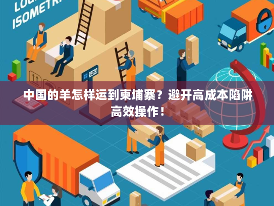 中国的羊怎样运到柬埔寨?避开高成本陷阱高效操作! 中国的羊怎样运到柬埔寨?避开高成本陷阱高效操作!