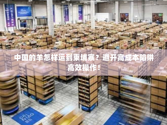 中国的羊怎样运到柬埔寨?避开高成本陷阱高效操作! 中国的羊怎样运到柬埔寨?避开高成本陷阱高效操作!