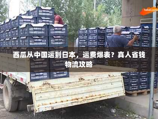 西瓜从中国运到日本，运费爆表？真人省钱物流攻略