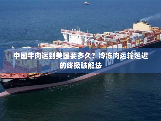 中国牛肉运到美国要多久?冷冻肉运输延迟的终极破解法 中国牛肉运到美国要多久?冷冻肉运输延迟的终极破解法
