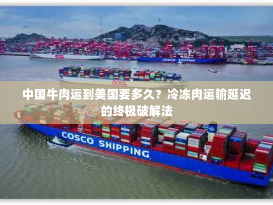 中国牛肉运到美国要多久?冷冻肉运输延迟的终极破解法 中国牛肉运到美国要多久?冷冻肉运输延迟的终极破解法