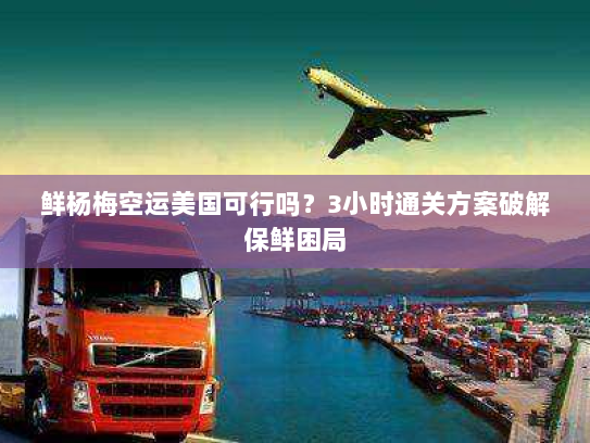 鲜杨梅空运美国可行吗？3小时通关方案破解保鲜困局