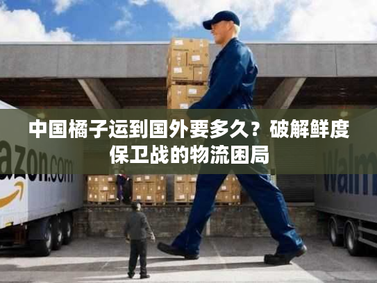 中国橘子运到国外要多久?破解鲜度保卫战的物流困局 中国橘子运到国外要多久?破解鲜度保卫战的物流困局