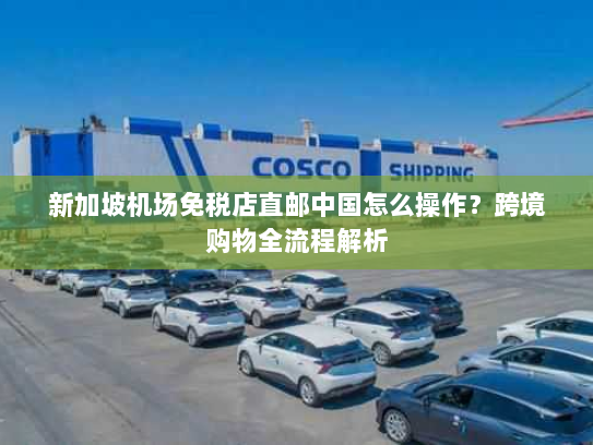 新加坡机场免税店直邮中国怎么操作?跨境购物全流程解析 新加坡机场免税店直邮中国怎么操作?跨境购物全流程解析