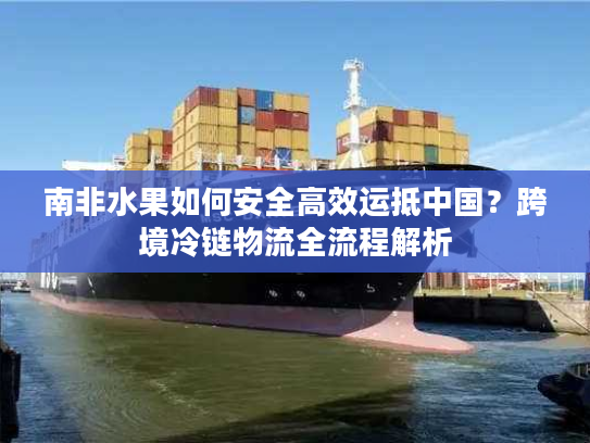 南非水果如何安全高效运抵中国？跨境冷链物流全流程解析