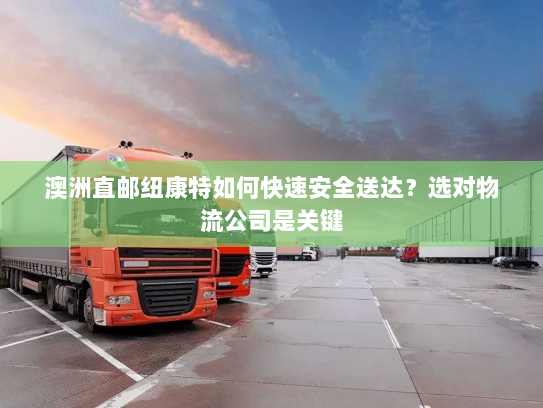 澳洲直邮纽康特如何快速安全送达?选对物流公司是关键 澳洲直邮纽康特如何快速安全送达?选对物流公司是关键