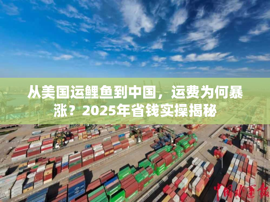 从美国运鲤鱼到中国，运费为何暴涨？2025年省钱实操揭秘