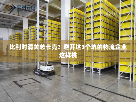 比利时清关总卡壳?避开这3个坑的物流企业这样挑 比利时清关总卡壳?避开这3个坑的物流企业这样挑