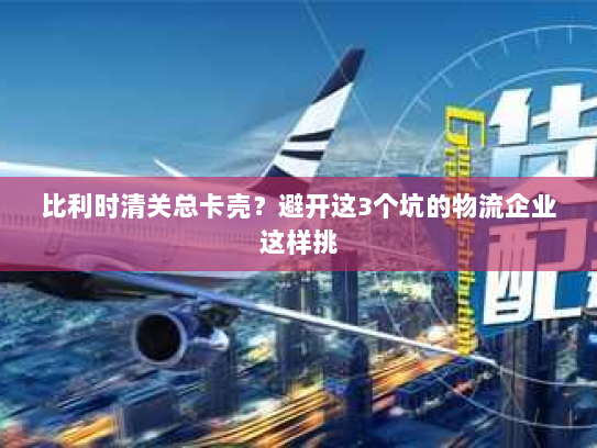 比利时清关总卡壳?避开这3个坑的物流企业这样挑 比利时清关总卡壳?避开这3个坑的物流企业这样挑