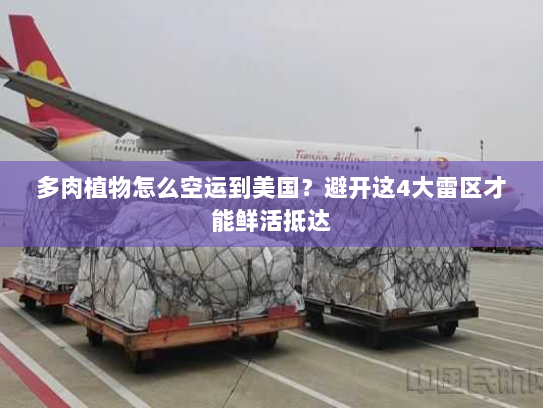 多肉植物怎么空运到美国?避开这4大雷区才能鲜活抵达 多肉植物怎么空运到美国?避开这4大雷区才能鲜活抵达