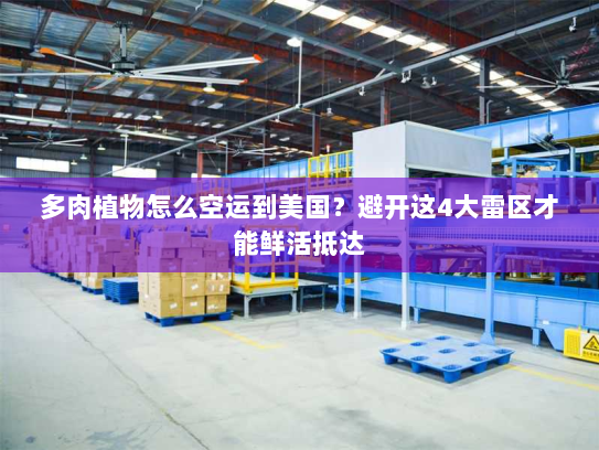 多肉植物怎么空运到美国?避开这4大雷区才能鲜活抵达 多肉植物怎么空运到美国?避开这4大雷区才能鲜活抵达