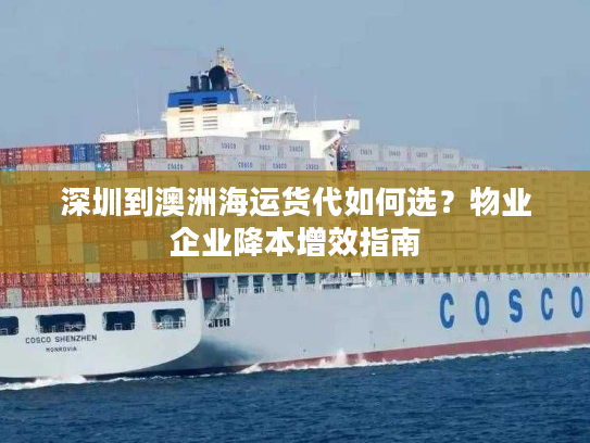 深圳到澳洲海运货代如何选？物业企业降本增效指南