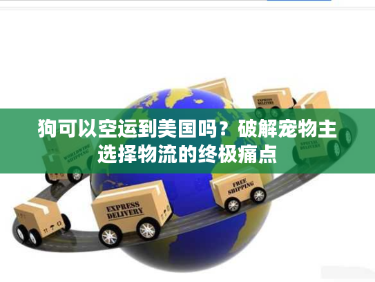 狗可以空运到美国吗？破解宠物主选择物流的终极痛点