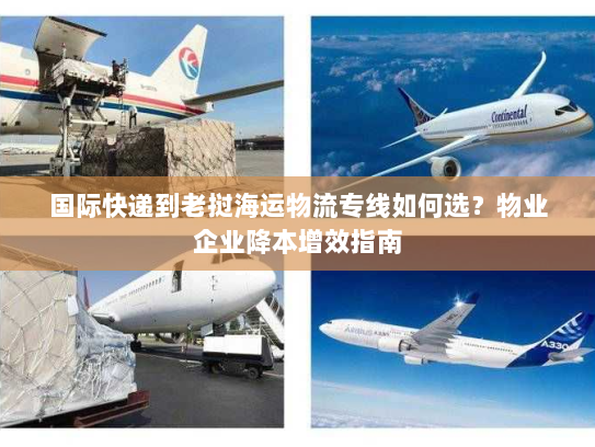 国际快递到老挝海运物流专线如何选？物业企业降本增效指南