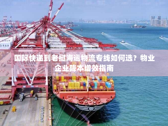 国际快递到老挝海运物流专线如何选？物业企业降本增效指南