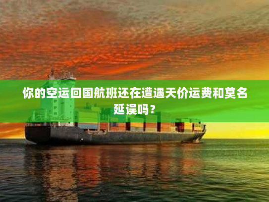 你的空运回国航班还在遭遇天价运费和莫名延误吗？