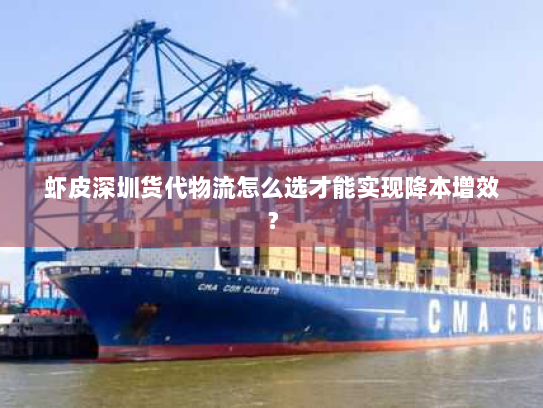 虾皮深圳货代物流怎么选才能实现降本增效? 虾皮深圳货代物流怎么选才能实现降本增效?