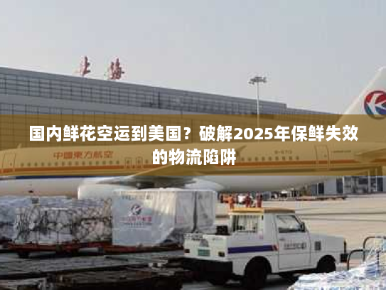 国内鲜花空运到美国？破解2025年保鲜失效的物流陷阱