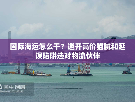 国际海运怎么干？避开高价猫腻和延误陷阱选对物流伙伴