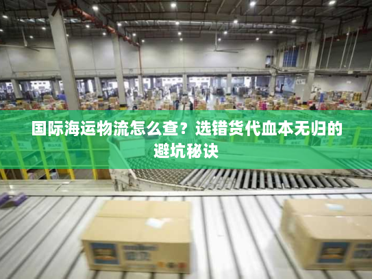 国际海运物流怎么查?选错货代血本无归的避坑秘诀 国际海运物流怎么查?选错货代血本无归的避坑秘诀