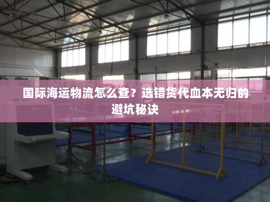 国际海运物流怎么查？选错货代血本无归的避坑秘诀