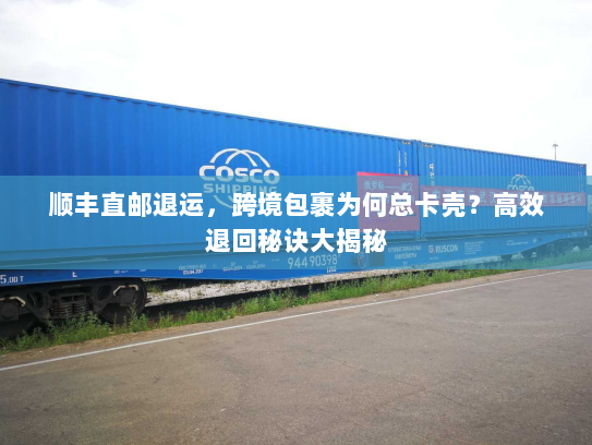 顺丰直邮退运,跨境包裹为何总卡壳?高效退回秘诀大揭秘 顺丰直邮退运,跨境包裹为何总卡壳?高效退回秘诀大揭秘