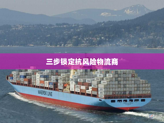 三步锁定抗风险物流商